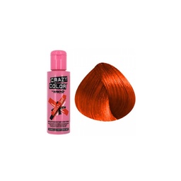 [PBS2019] CRAZY COLOR INTRO KIT CORAL RED